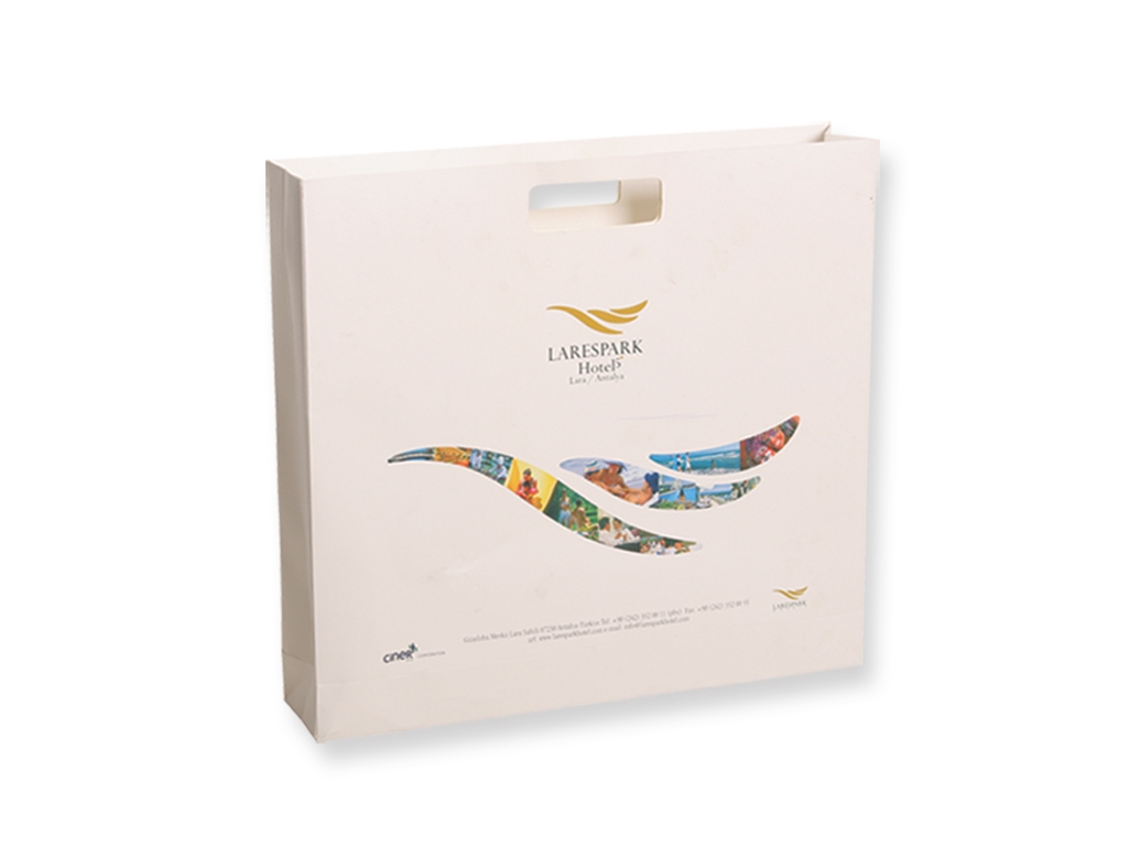Paper Bags